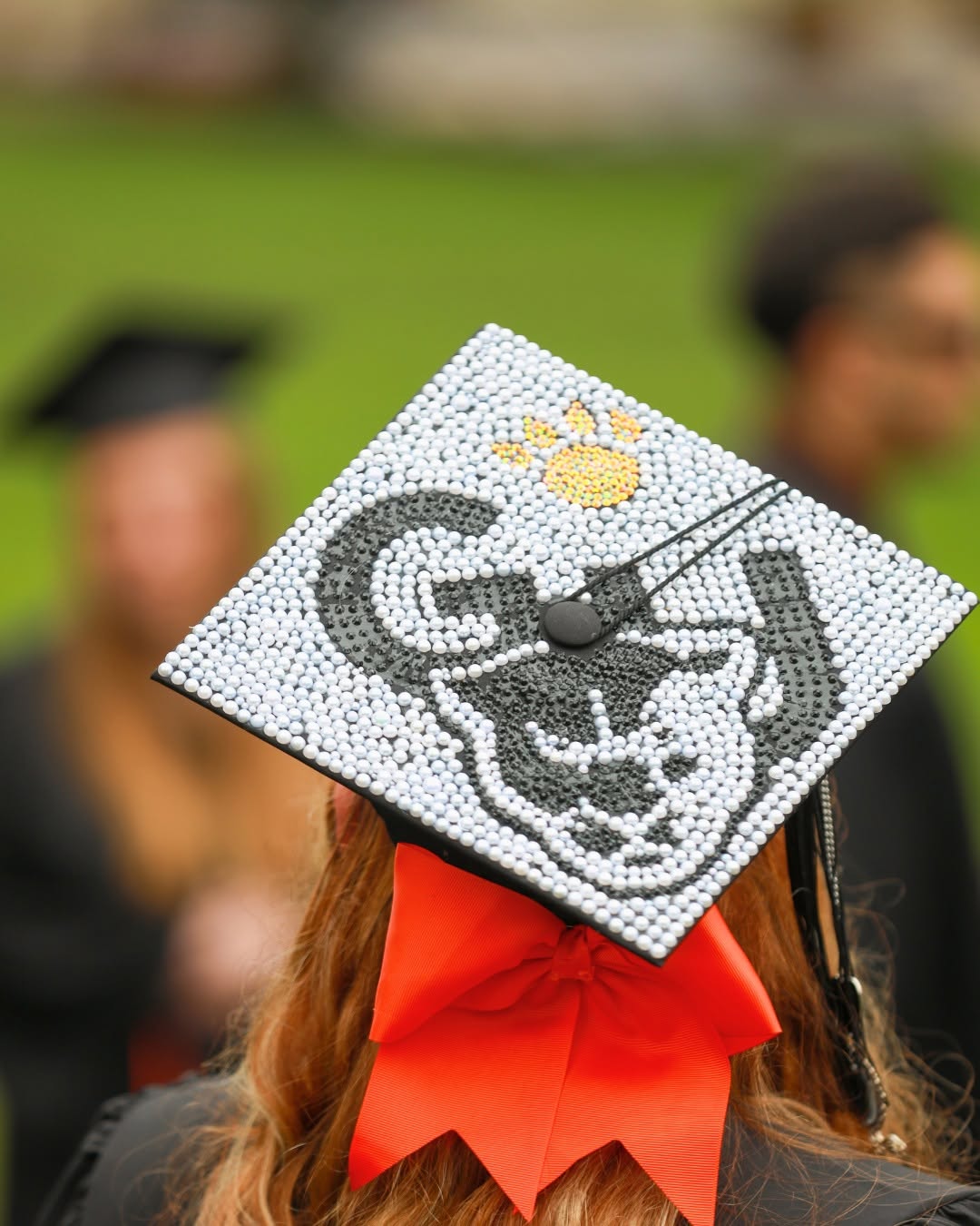 We were cap-tivated by these designs at graduation 🎓🐾🧡

#greenvilleuniv #GUclassof2026 #graduationcaps